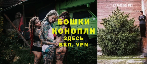 a pvp Белокуриха