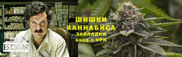 a pvp Белокуриха