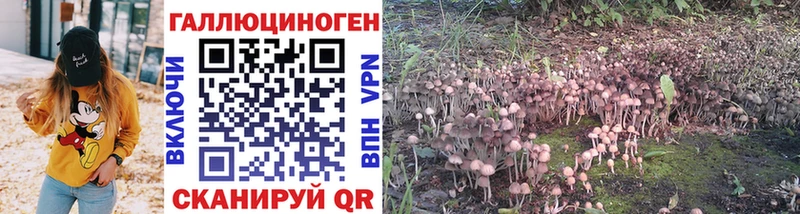 Галлюциногенные грибы GOLDEN TEACHER  Высоковск 